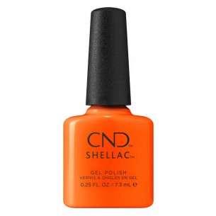 Shellac Popsicle Picnic 7.3...